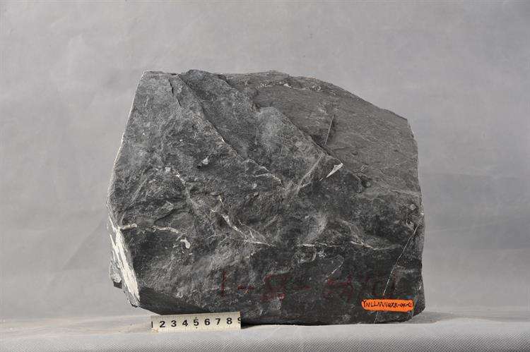 株洲信達(dá)機(jī)械科技有限公司,株洲煤截齒,掘進(jìn)齒銷售