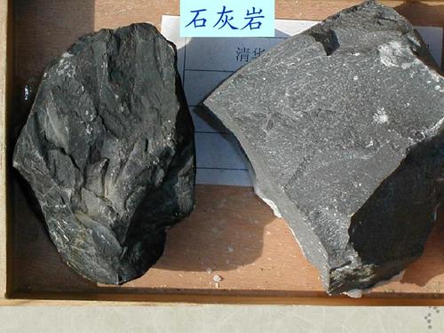株洲信達(dá)機(jī)械科技有限公司,株洲煤截齒,掘進(jìn)齒銷售